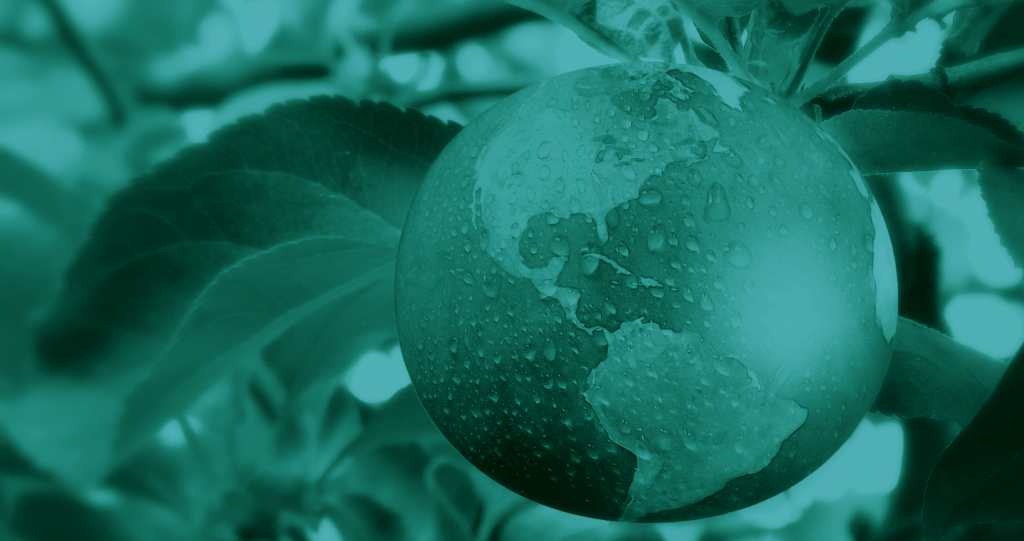 Der nächste Schritt ist gemacht: nicos ist auf dem Weg zum ISO 14001 Zertifikat – nicos AG Der nächste Schritt ist gemacht: nicos ist auf dem Weg zum ISO 14001 Zertifikat – nicos AG